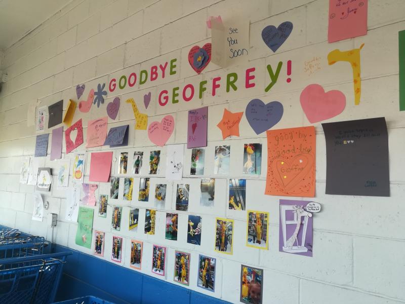 A wall of goodbye messages for Geoffrey the Giraffe